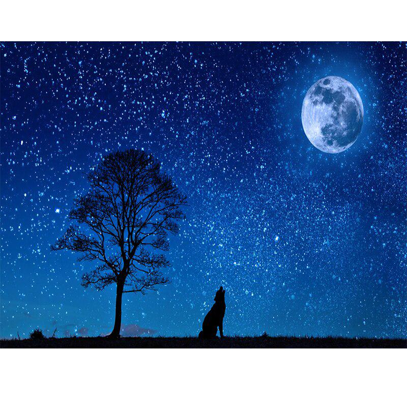 Алмазная картина, наборы для вышивки крестом, Алмазная вышивка, мозаика, узор полнолуния, картина, домашний декор